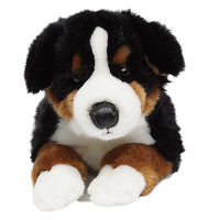 Gesund Hund 1 Gesund Hund 1